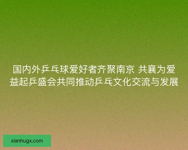 国内外乒乓球爱好者齐聚南京 共襄为爱益起乒盛会共同推动乒乓文化交流与发展